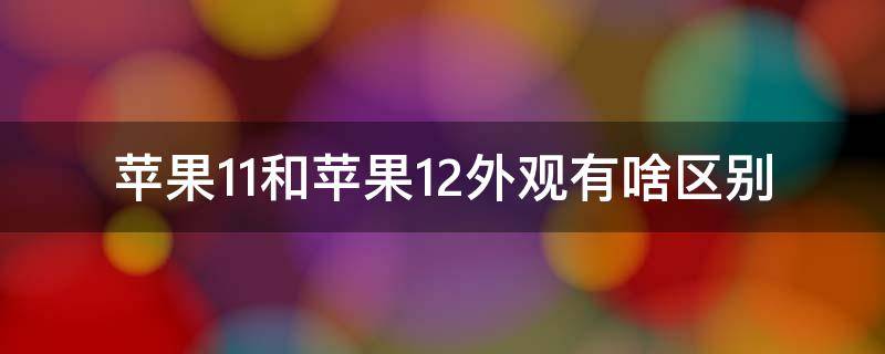 苹果11和苹果12外观有啥区别（苹果11跟苹果12外观的区别）