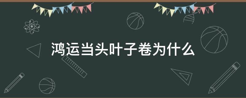 鸿运当头叶子卷为什么 鸿运当头叶子卷了