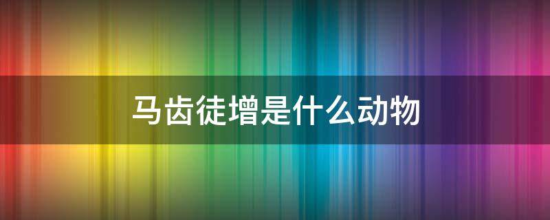 马齿徒增是什么动物 马齿徒增是什么意思