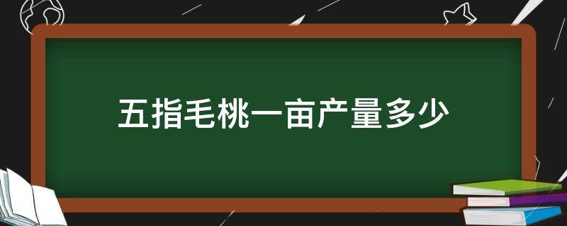 五指毛桃一亩产量多少（五指毛桃亩产多少斤）