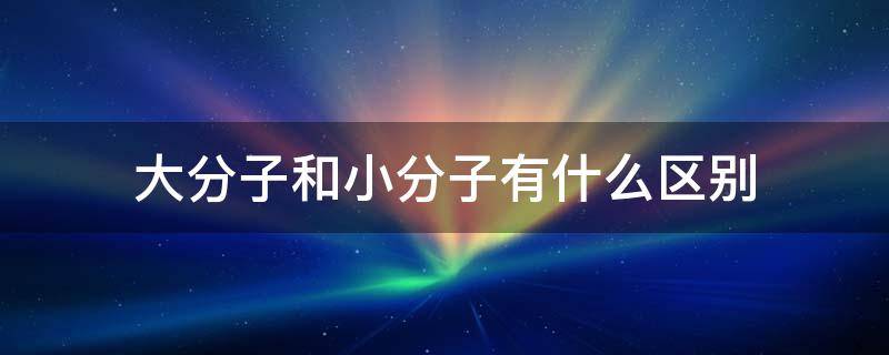 大分子和小分子有什么区别 什么叫大分子和小分子