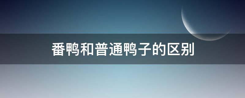 番鸭和普通鸭子的区别 番鸭和水鸭区别