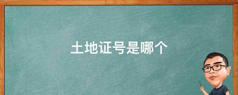 土地证号是哪个 土地证号是哪个?