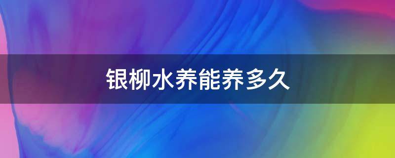 银柳水养能养多久 银柳要不要养水