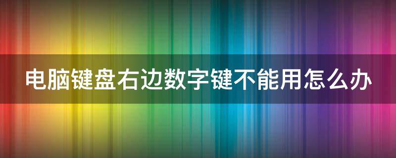 电脑键盘右边数字键不能用怎么办（电脑键盘右边数字键不能用怎么办m）