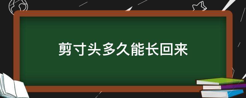 剪寸头多久能长回来 剪寸头多久能长长