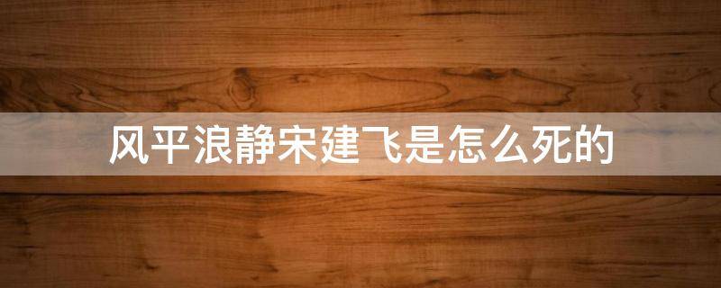 风平浪静宋建飞是怎么死的（风平浪静宋为啥是要杀）