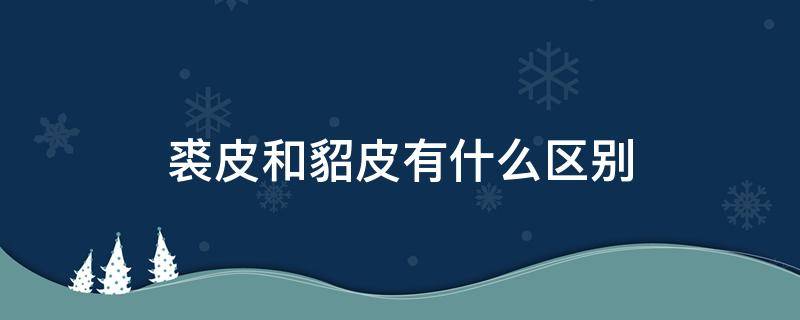 裘皮和貂皮有什么区别 裘皮和貂皮有什么区别 百度百科