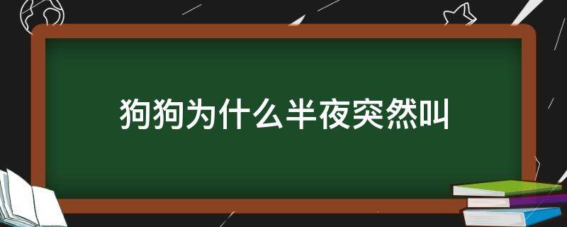 狗狗为什么半夜突然叫（狗狗为啥晚上半夜突然叫）