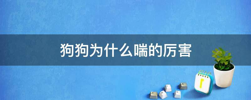 狗狗为什么喘的厉害 狗为啥喘的厉害