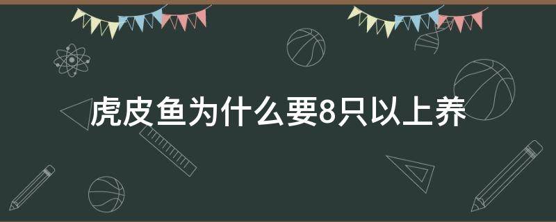 虎皮鱼为什么要8只以上养 虎皮鱼可以单只养吗