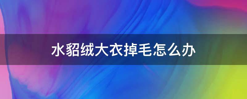 水貂绒大衣掉毛怎么办（水貂绒的毛衣掉毛严重怎么办）