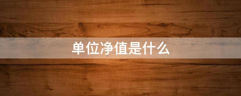 单位净值是什么 短债的单位净值是什么