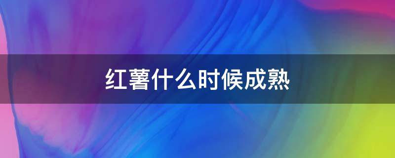 红薯什么时候成熟 海南澄迈红薯什么时候成熟