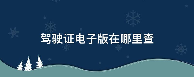 驾驶证电子版在哪里查（驾驶证电子版在哪里查看）