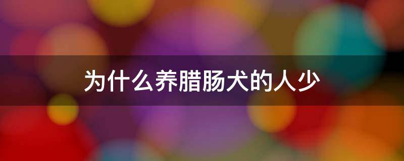 为什么养腊肠犬的人少（腊肠犬怎么养,腊肠犬到底好养吗）