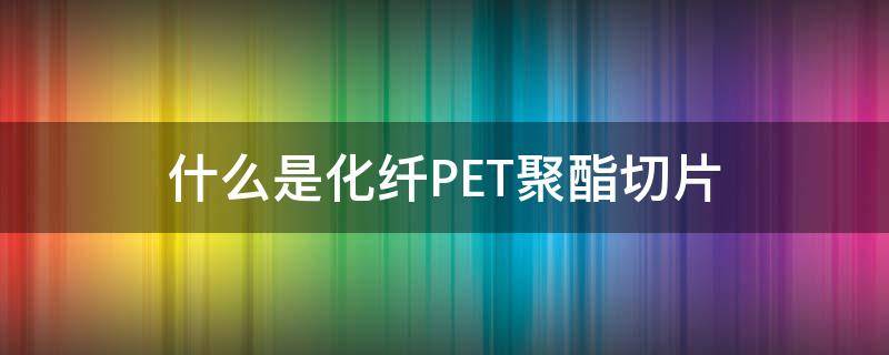 什么是化纤PET(聚酯切片)（pet和聚酯切片有什么区别）