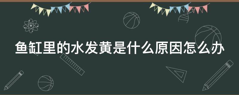 鱼缸里的水发黄是什么原因怎么办 鱼缸里的水发黄是什么原因怎么办视频