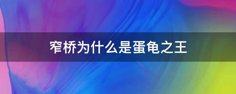 窄桥为什么是蛋龟之王 窄桥蛋龟是什么龟