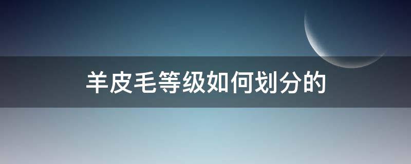 羊皮毛等级如何划分的 绵羊皮等级怎么分