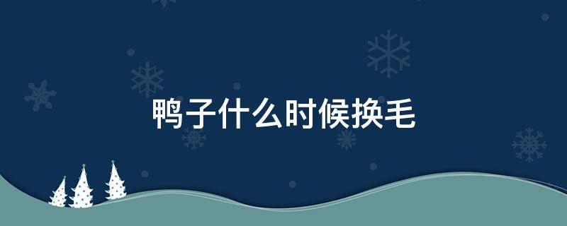 鸭子什么时候换毛 鸭子什么时候换毛完?