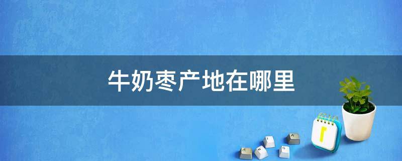 牛奶枣产地在哪里 牛奶枣产地在哪里图片