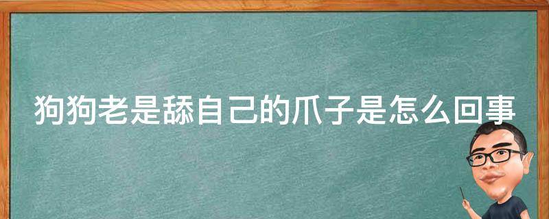 狗狗老是舔自己的爪子是怎么回事（狗狗一直舔自己的爪子怎么回事）