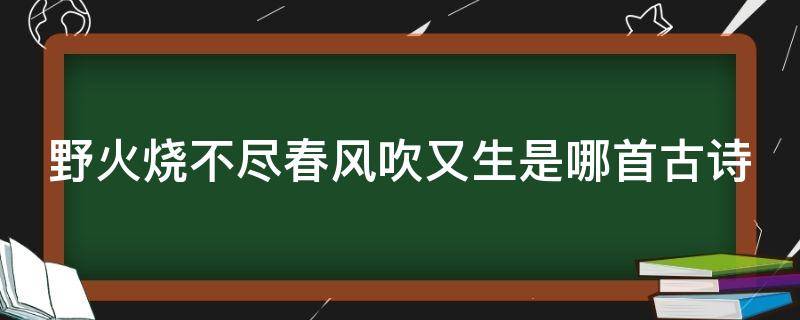 野火烧不尽春风吹又生是哪首古诗 野火烧不尽春风吹又生是哪首古诗反义词