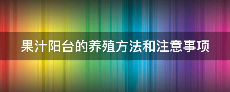 果汁阳台的养殖方法和注意事项 果汁阳台月季一年开几次花