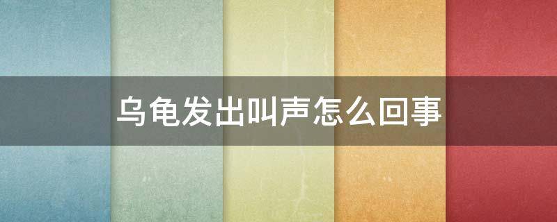 乌龟发出叫声怎么回事 乌龟发出叫声是怎么回事?