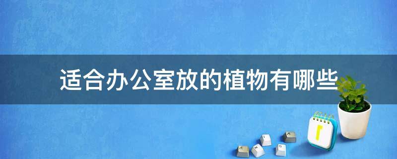 适合办公室放的植物有哪些 适合放办公室的植物有哪些?