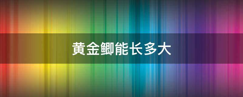 黄金鲫能长多大 黄金鲫鱼能长多大