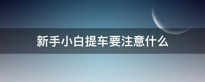 新手小白提车要注意什么（新手小白提车应注意什么）