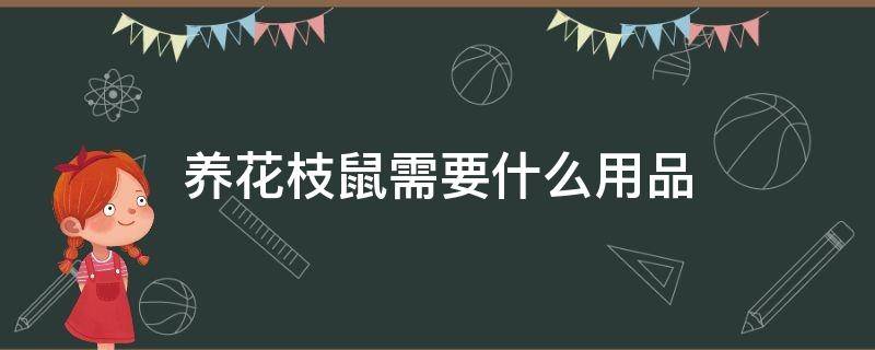 养花枝鼠需要什么用品 新人养花枝鼠需要买什么用品