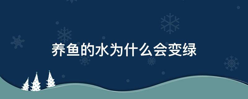 养鱼的水为什么会变绿（养鱼的水总是变绿有什么办法）