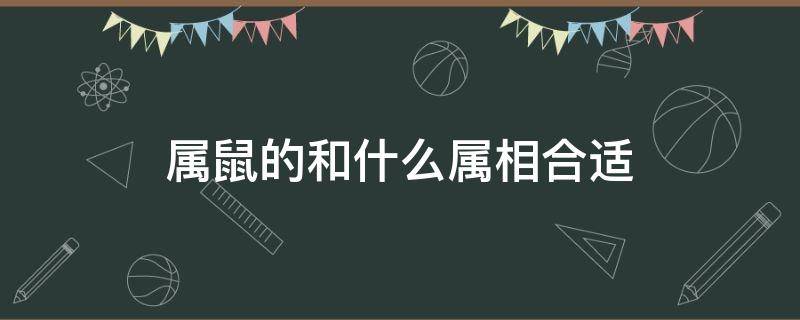 属鼠的和什么属相合适（属鼠的跟什么属相合适）