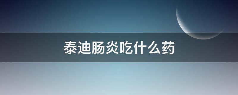 泰迪肠炎吃什么药 泰迪肠炎吃什么药好