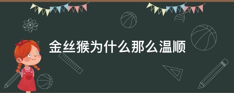 金丝猴为什么那么温顺（金丝猴比普通猴子温顺吗）