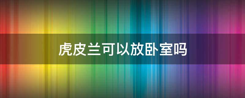 虎皮兰可以放卧室吗 水培白玉虎皮兰可以放卧室吗