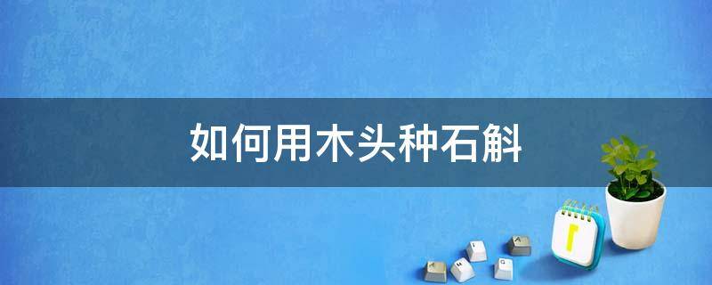 如何用木头种石斛 栽种石斛用什么石头