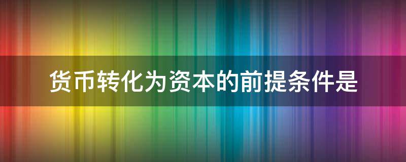 货币转化为资本的前提条件是 剩余价值来源于