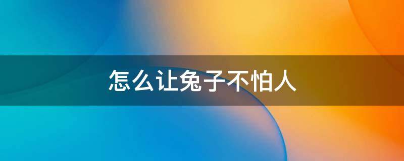 怎么让兔子不怕人 兔子怕人怎么办?