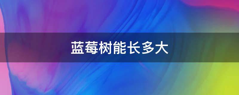 蓝莓树能长多大 蓝莓树能长多大?