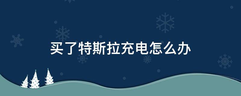 买了特斯拉充电怎么办 买特斯拉怎么解决充电问题