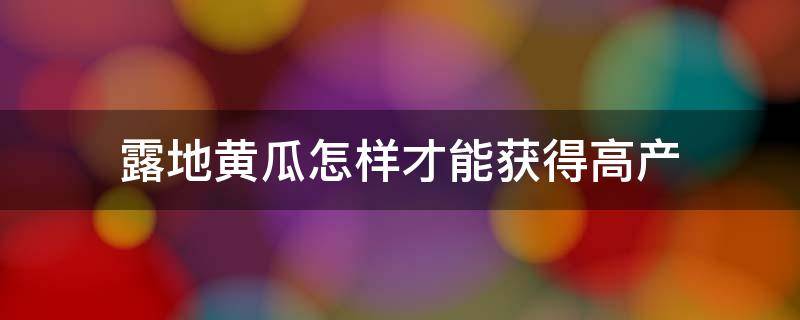 露地黄瓜怎样才能获得高产 露天种植黄瓜高产诀窍