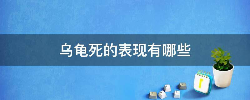 乌龟死的表现有哪些 乌龟死的表现 什么预兆