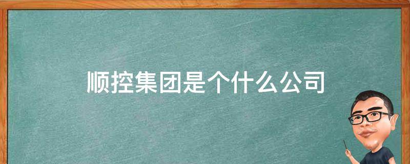 顺控集团是个什么公司 顺控发展是啥公司