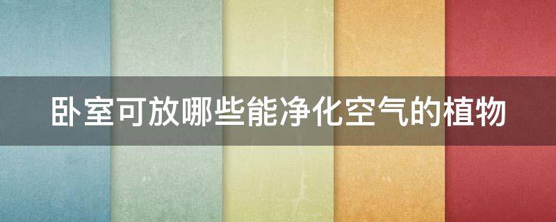 卧室可放哪些能净化空气的植物（卧室可放哪些能净化空气的植物图片）