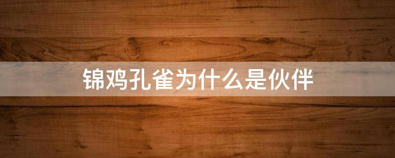 锦鸡孔雀为什么是伙伴 为什么说孔雀锦鸡是伙伴它们有什么相同点