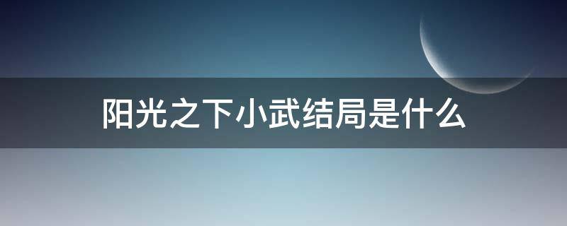 阳光之下小武结局是什么 阳光之下小武最后和谁在一起了